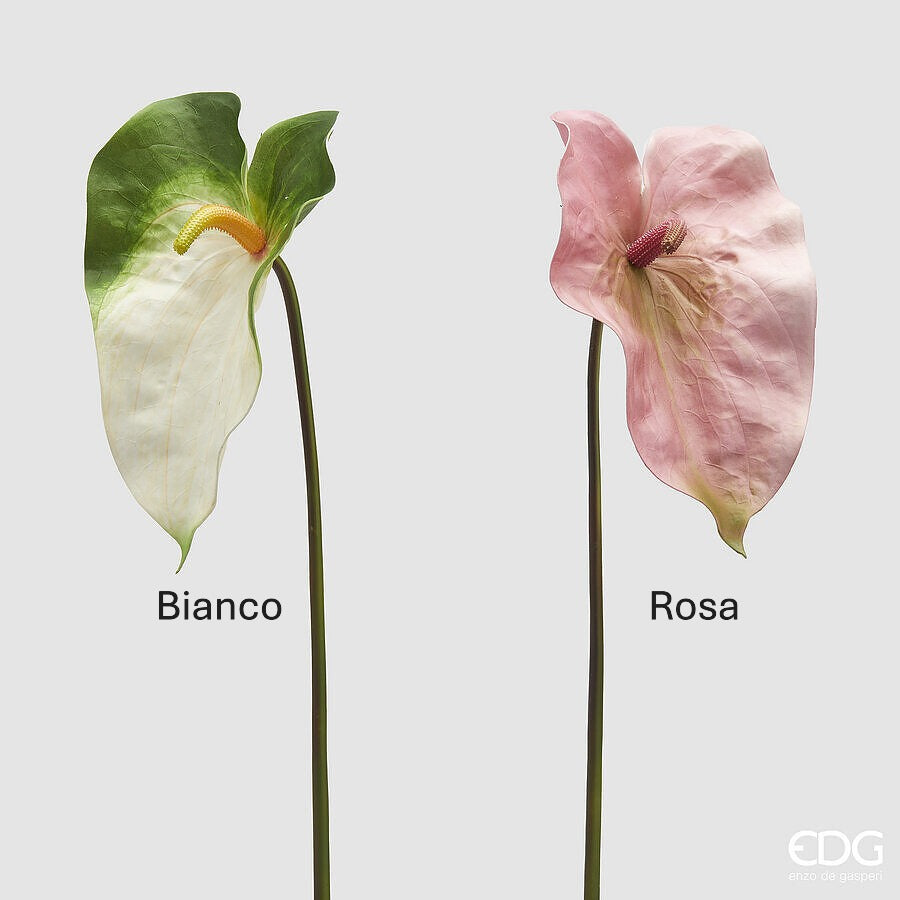 Ramo di Anthurium bianco o rosa. Con il suo fiore artificiale, questo ramo aggiunge un tocco di natura e bellezza a qualsiasi ambiente. Dimensioni: h cm 75. In negozio e online su tuttochic.live