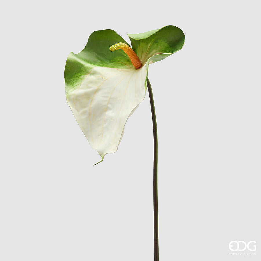 Fiore Anthurium jumbo di colore bianco con sfumature verde aggiungerà un'atmosfera fresca e lussureggiante al tuo ambiente. Dimensioni: altezza cm 90. In negozio e online su tuttochic.live