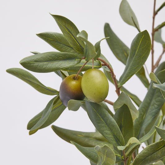 Questo mazzo di olivo alto 41 cm è realizzato in plastica verde di alta qualità. Con le olive realistiche, aggiungerà un tocco di natura alla tua casa. Realizzato con materiali resistenti, è perfetto per decorazioni durature. Abbinamento completo con Corona Olivo con olive. In negozio e online su tuttochic.live.