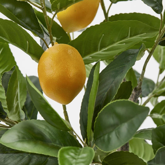 Pianta artificiale di limoni con frutti in vaso. Dimensioni: altezza cm 70 - Vaso cm H10 D15. In negozio e online su tuttochic.live.