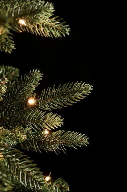 Pino Slim albero Natale EDG H240 con 610 MiniLED