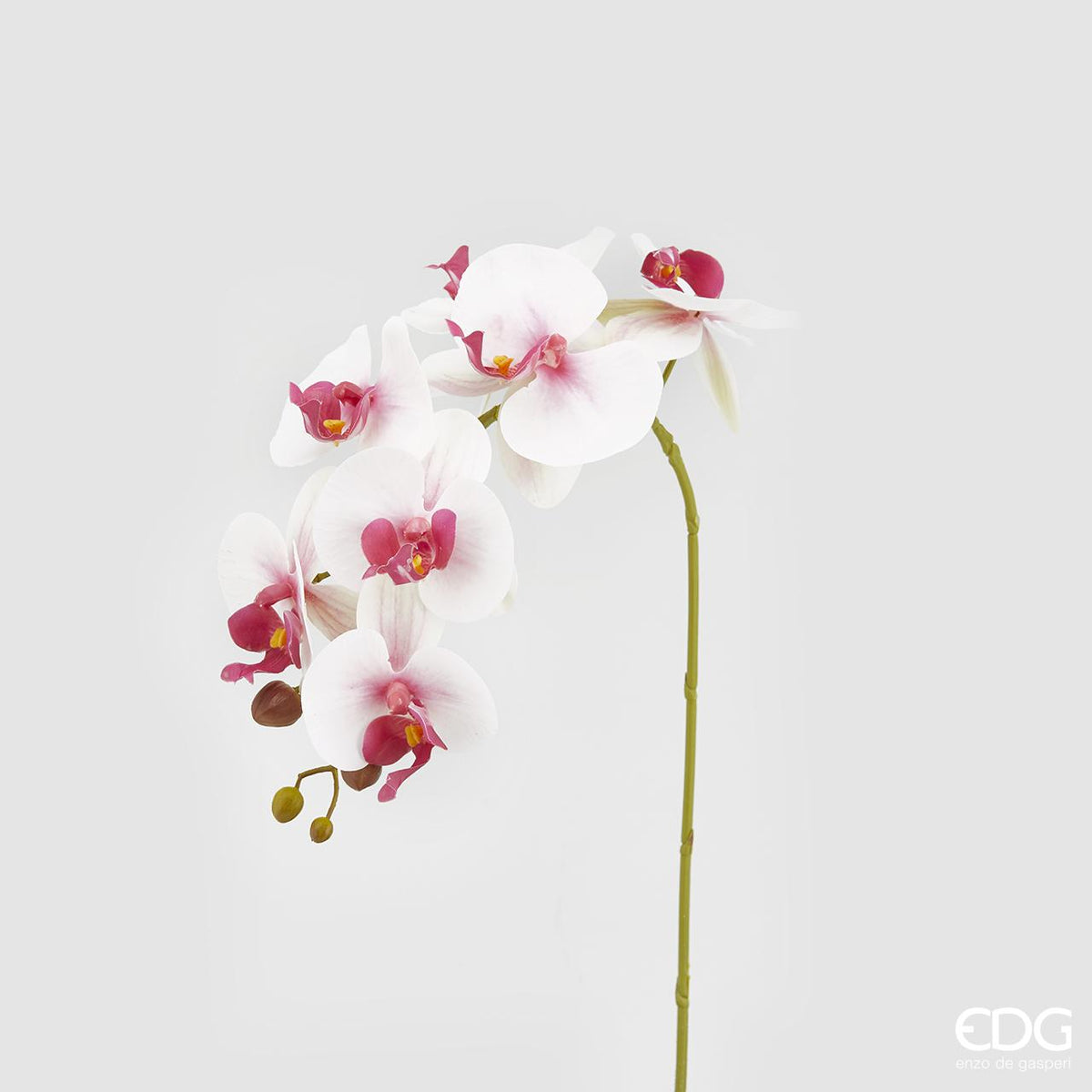 Ramo 7 Orchidee Real ornamentali artificiali. Dimensioni: cm 71 Petali in lattice, stelo in plastica. In negozio e online su tuttochic.live