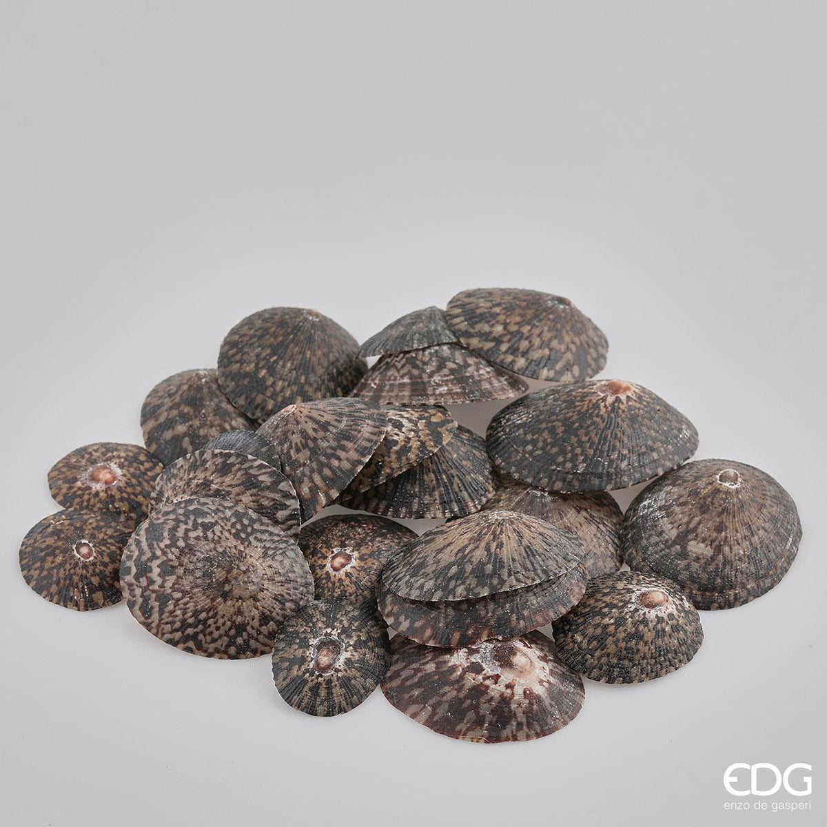 Conchiglie Patella in busta da 500 grammi. Dimensioni assortite dai 3 ai 7 cm. Prodotto naturale e lavato, solo uso decorativo, non è un giocattolo. Tenere fuori dalla portata dei bambini. In negozio e online su tuttochic.live