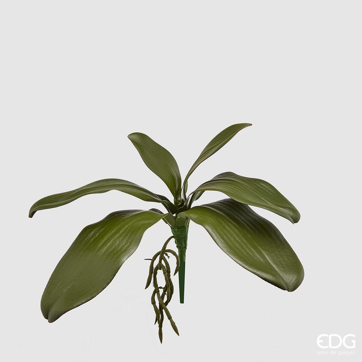 Foglie di Orchidea con radice ornamentale artificiale. Ideali per arricchire composizioni varie. Dimensioni: altezza cm 27. In negozio e online su tuttochic.live