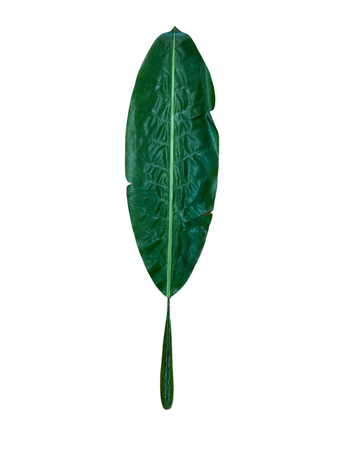 Foglia di Banano artificiale in plastica di colore verde. Dimensioni: cm 109 x 27. In negozio e online su tuttochic.live