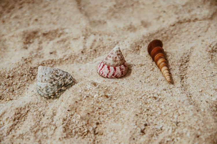 Ideale per le tue vacanze al mare o per il tempo libero in genere, il telo mare è l'accessorio perfetto per le tue giornate al sole all'insegna del relax e dell'armonia. Selezione di prodotti di qualità su tuttochic.live