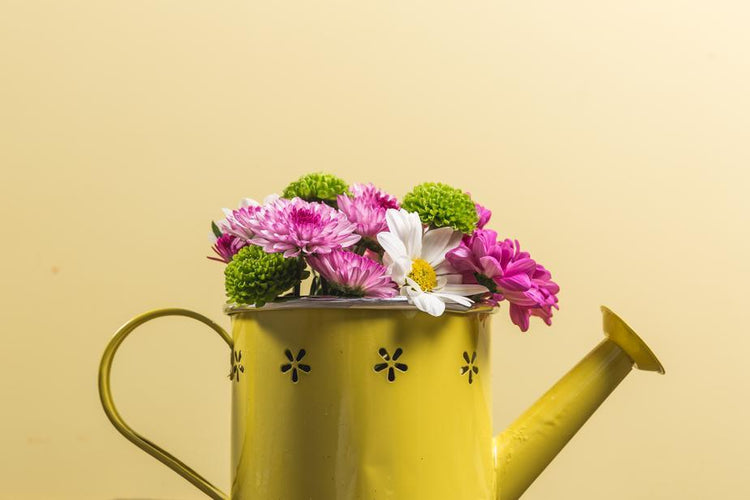 Se ciò che desideri è uno spazio ricco di emozioni per la tua casa. Trasforma i tuoi ambienti con decorazioni in armonia con le stagioni e le feste importanti. Scegli i prodotti giusti su tutttochic.it.
