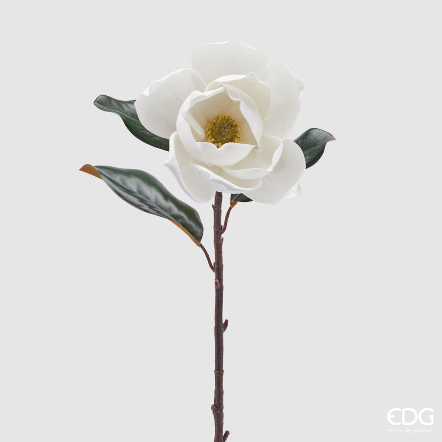 Magnolia Supreme bianca con foglie h 73