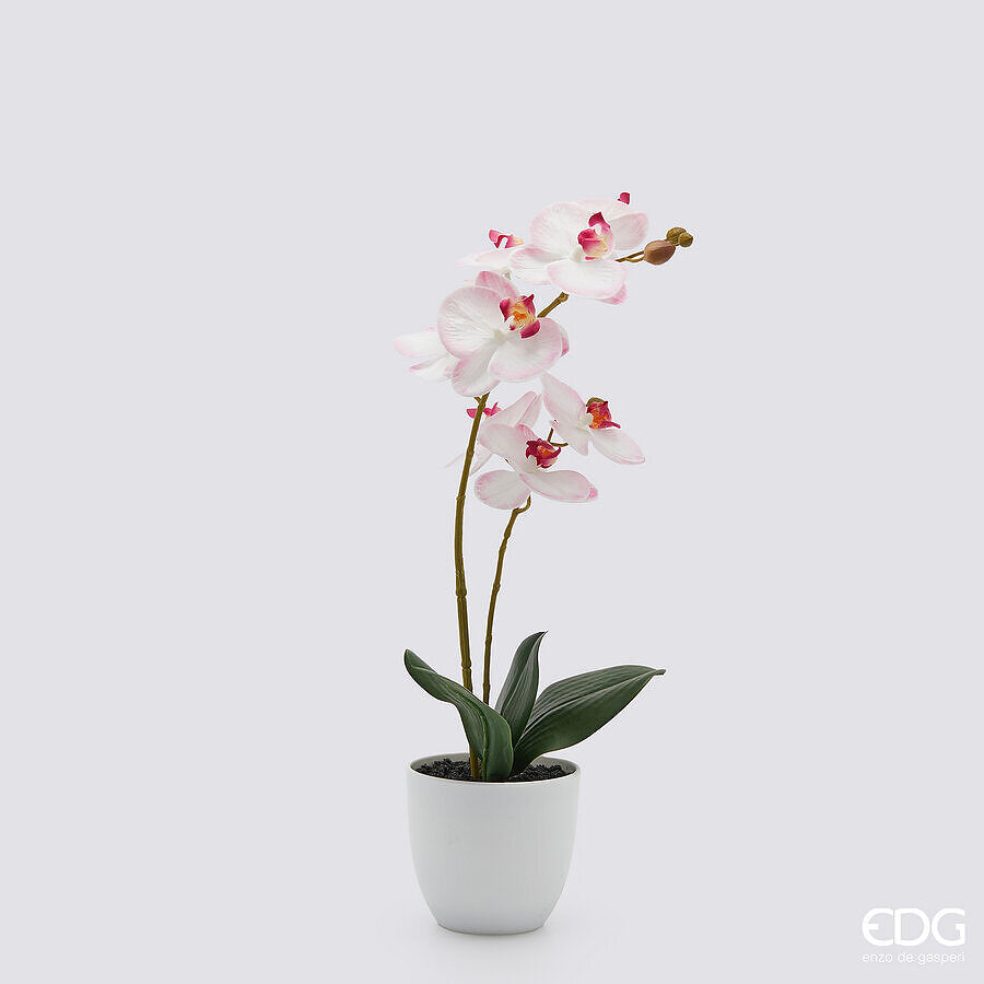 Scopri l'eleganza eterea dell'orchidea Phalaenopsis, resa ancora più incantevole dal fiore artificiale con petali in lattice decorato. Dimensioni: altezza cm 50 - Vasetto Ø 11,5 cm. In negozio e online su tuttochic.live