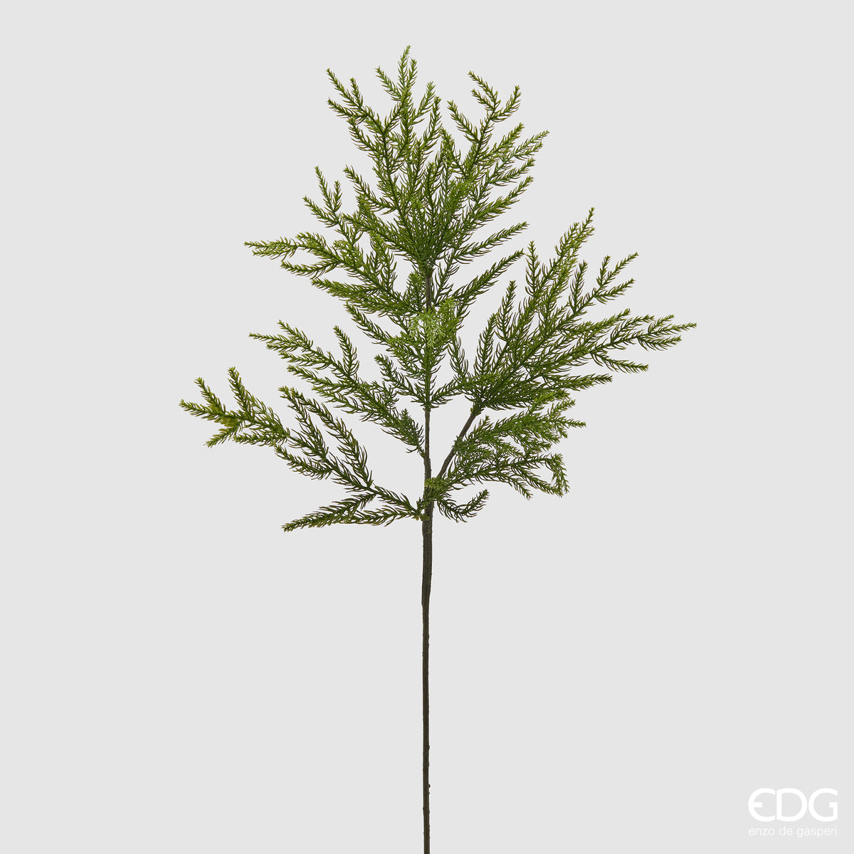 Ramo singolo artificiale Cryptomeria alto 84 cm di EDG Enzo De Gasperi, stelo botanico slanciato con folti rami verdi senza pigne su sfondo chiaro.
