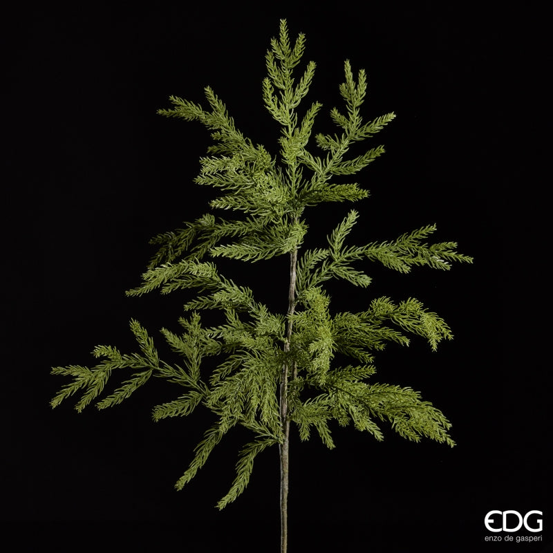 Inquadratura artistica su sfondo nero del ramo verde Cryptomeria EDG da 84 cm, che mette in risalto la struttura geometrica e i dettagli realistici delle fronde.