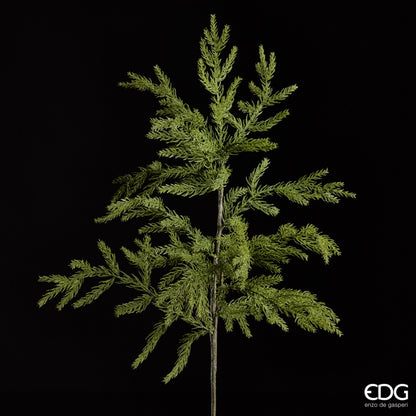 Inquadratura artistica su sfondo nero del ramo verde Cryptomeria EDG da 84 cm, che mette in risalto la struttura geometrica e i dettagli realistici delle fronde.