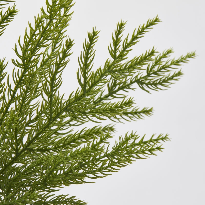 Aggiungi un tocco di natura alle tue composizioni floreali e natalizie con il ramo Cryptomeria artificiale (Cedro giapponese). Il ramo offre un aspetto realistico e senza manutenzione, perfetto per decorare ogni spazio con eleganza e stile. Dimensioni: lungo cm 84. In negozio e online su tuttochic.live
