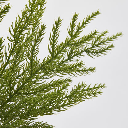 Aggiungi un tocco di natura alle tue composizioni floreali e natalizie con il ramo Cryptomeria artificiale (Cedro giapponese). Il ramo offre un aspetto realistico e senza manutenzione, perfetto per decorare ogni spazio con eleganza e stile. Dimensioni: lungo cm 84. In negozio e online su tuttochic.live