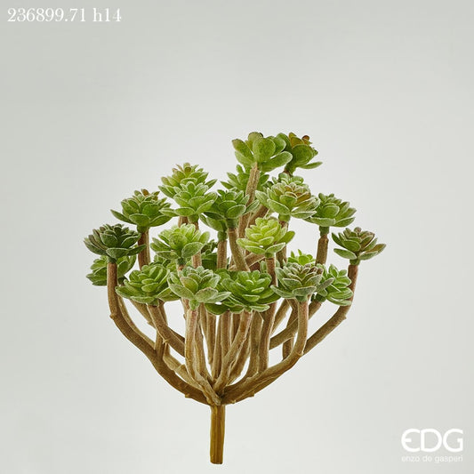 Piantina artificiale di Succulent in plastica decorata, ideale per composizioni. Dimensioni: cm 12 x 14 h Uso decorativo, tenere fuori la portata dei bambini. In negozio e online su tuttochic.live
