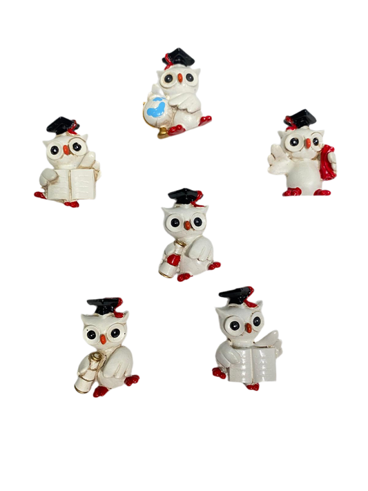 Set 6 bomboniere assortite di Gufetto magnete in resina decorata. Dimensioni: cm 3,5 x 5 Confettata e astuccio non inclusi. In negozio e online su tuttochic.live