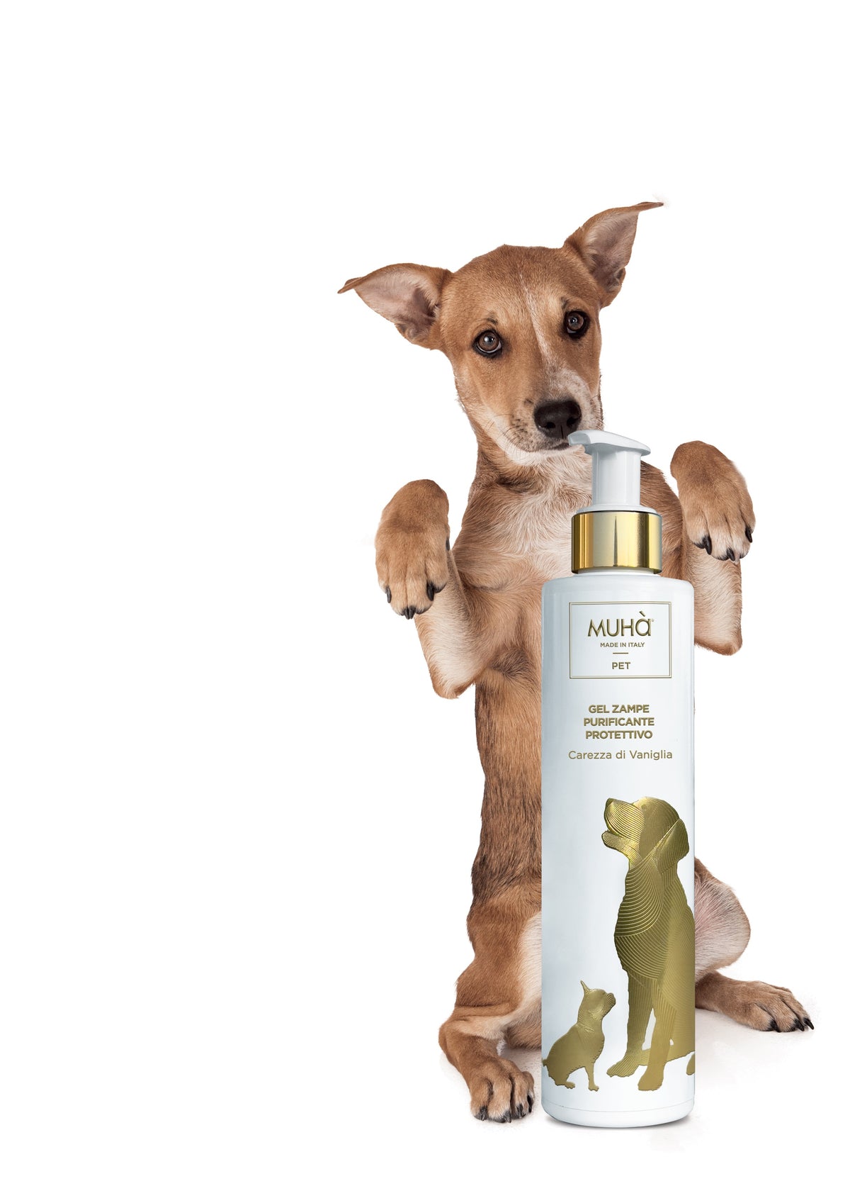 Il gel purificante protettivo è appositamente formulato per la cura e la pulizia delle zampette del cane. Quantità: 200 ml. In negozio e online su tuttochic.live