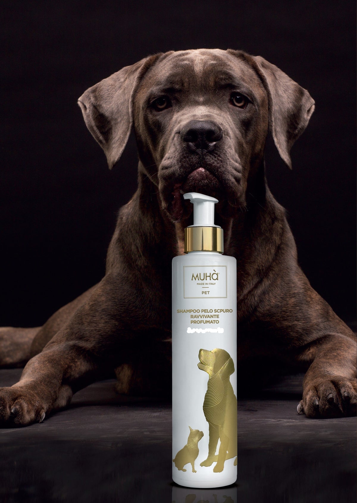 Shampoo specifico per la cura e la bellezza dei manti scuri dei cani, formulato con aloe vera, estratto di papaya, estratto di calendula e infuso di fiori di camomilla.  Quantità: 200 ml.In negozio e online su tuttochic.live