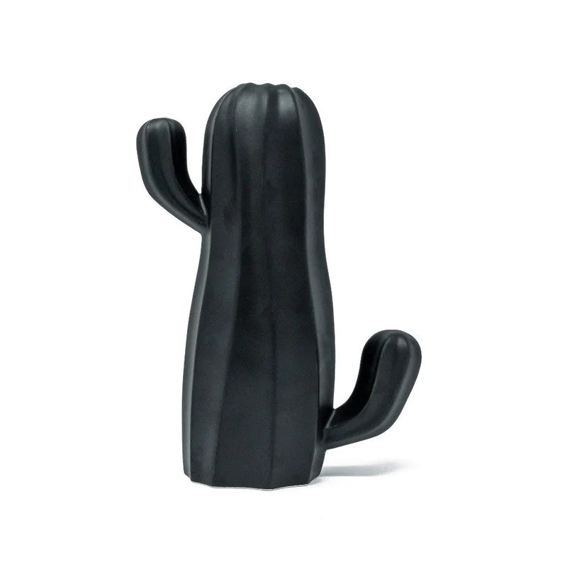 Cactus Umidificatore