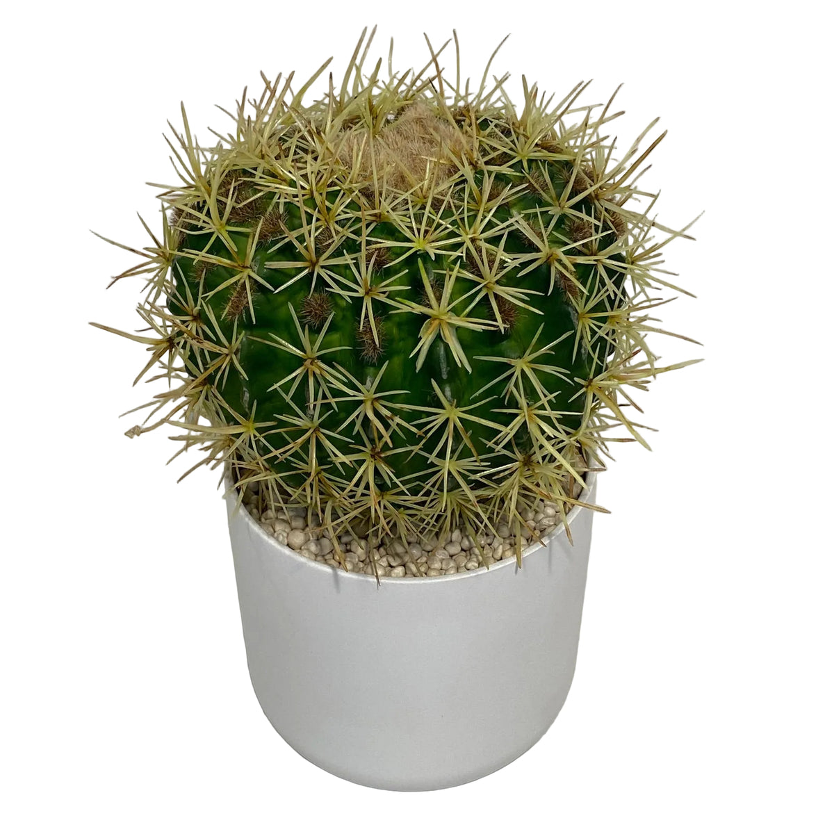 Porta il design di Enzo De Gasperi in casa tua con l'Echinocactus Bell. Pianta artificiale iper-realista in vaso di ceramica bianca. Scoprila su Tutto Chic.