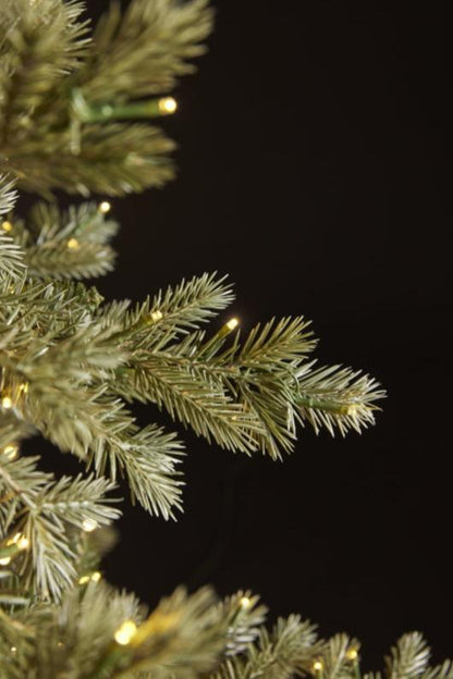 Albero di Natale EDG Pino Argentato 180 cm con 3000 LED 
