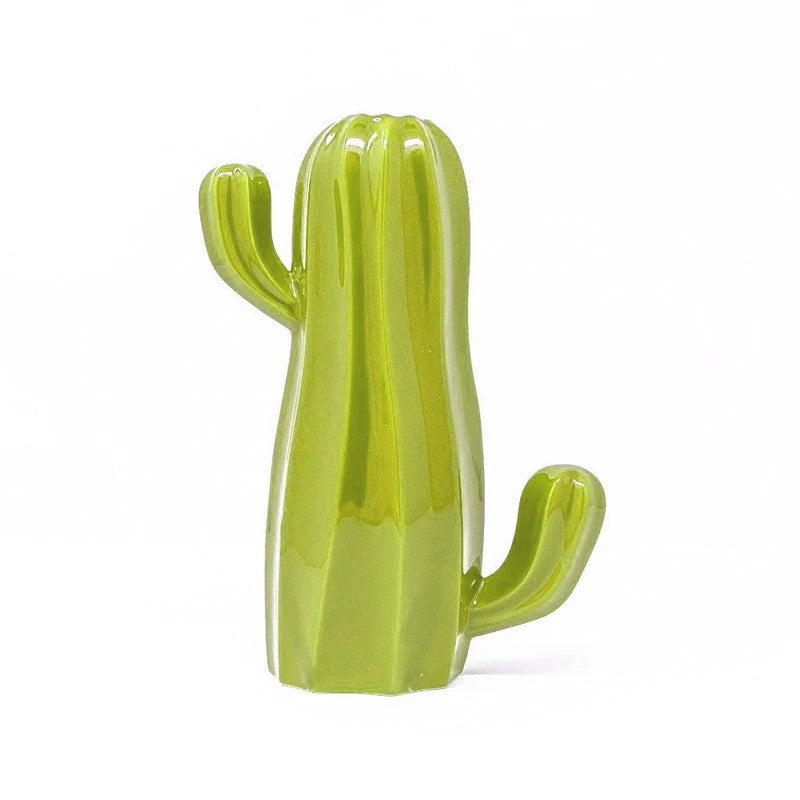 Cactus Umidificatore