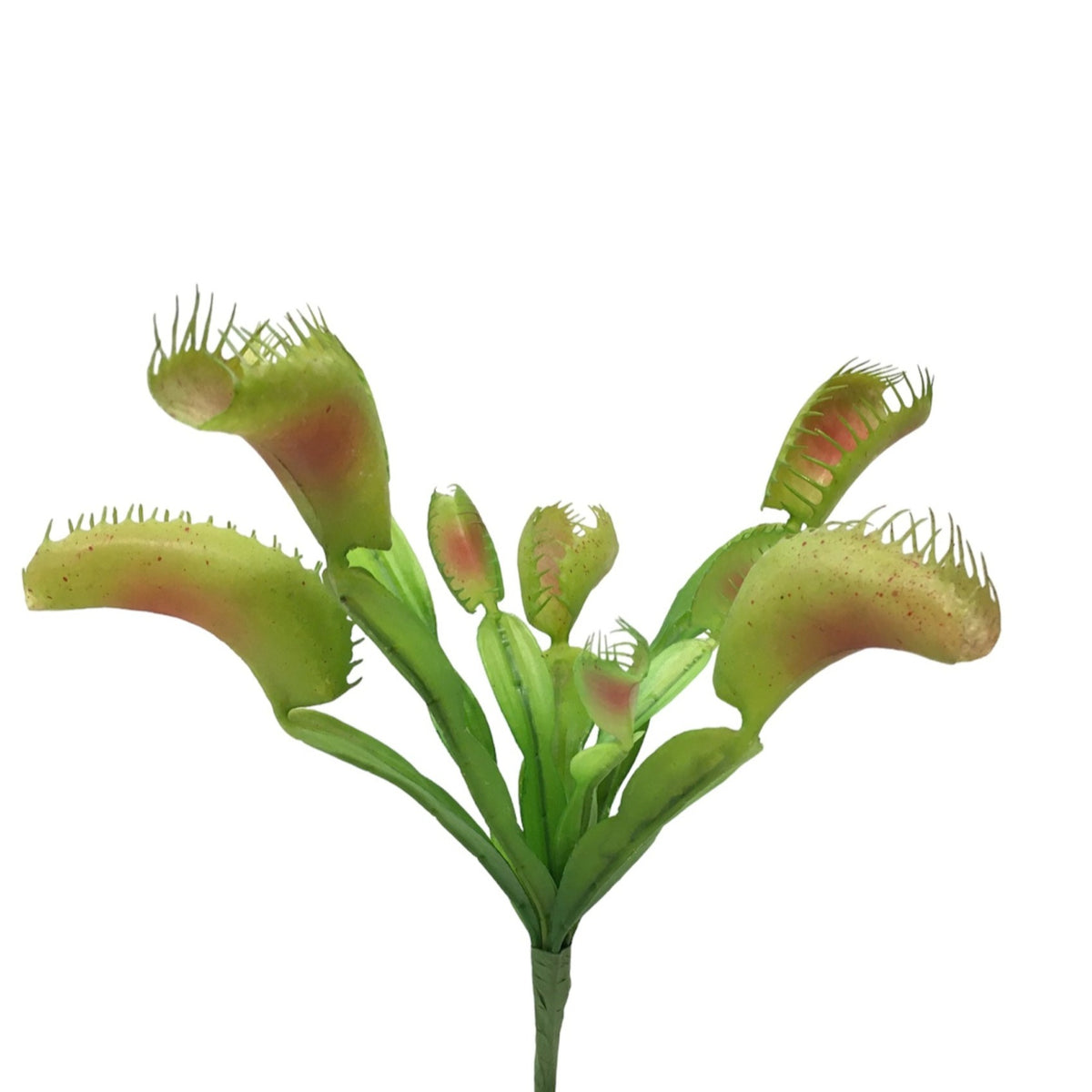 Pianta artificiale di Dionaea Carnivora in plastica decorata. Dimensioni: cm 22 x 25 h. Uso decorativo, tenere fuori la portata dei bambini. In negozio e online su tuttochic.live