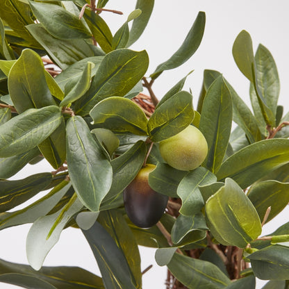 Corona Olivo con olive. Realizzata in plastica verde, questa corona può essere appesa o poggiata, aggiungendo un tocco di classe e originalità alla tua decorazione. Lasciati sedurre dalla bellezza dell'olivo e dalla freschezza della frutta. Dimensioni: diametro cm 40. In negozio e online su tuttochic.live.