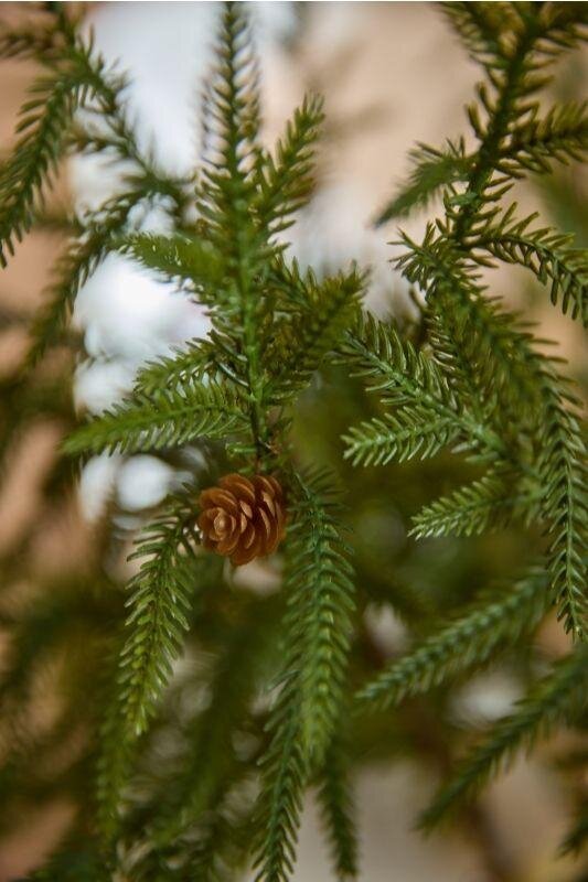 Inquadratura ravvicinata del fogliame del ramo Cryptomeria EDG che mostra il dettaglio di una piccola pigna marrone tra gli aghi in plastica verde.