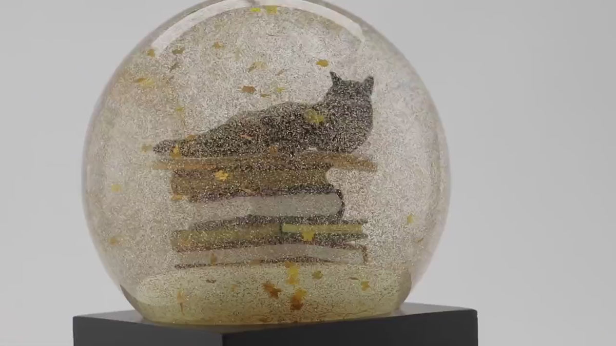 Rilassa la tua mente e regala un tocco di eleganza alla tua casa con questa sfera con neve al mondo magico della lettura. Dimensioni: cm 8 x 8 x 12 h. Non sono giocattoli per bambini. In negozio e online su tuttochic.live