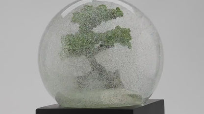 Rilassa la tua mente e regala un tocco di eleganza alla tua casa con questa sfera con neve alla contemplazione silenziosa del Bonsai. Dimensioni: cm 8 x 8 x 12 h. Non sono giocattoli per bambini. In negozio e online su tuttochic.live