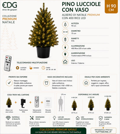 infografiva pino Lucciole in vaso h 90