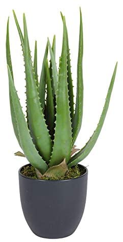Pianta artificiale di Aloe Vera Chic alta 45 cm con 16 foglie verdi modellabili in vaso nero di EDG Enzo De Gasperi.