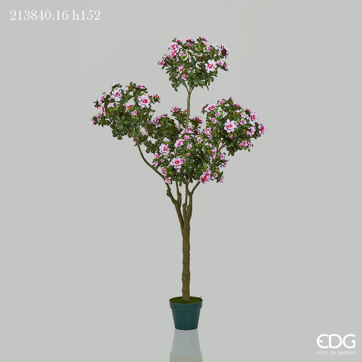 Pianta di azalea artificiale ad alberello alta 152 cm con fiori rosa e bianchi e vaso in PVC di EDG Enzo De Gasperi.