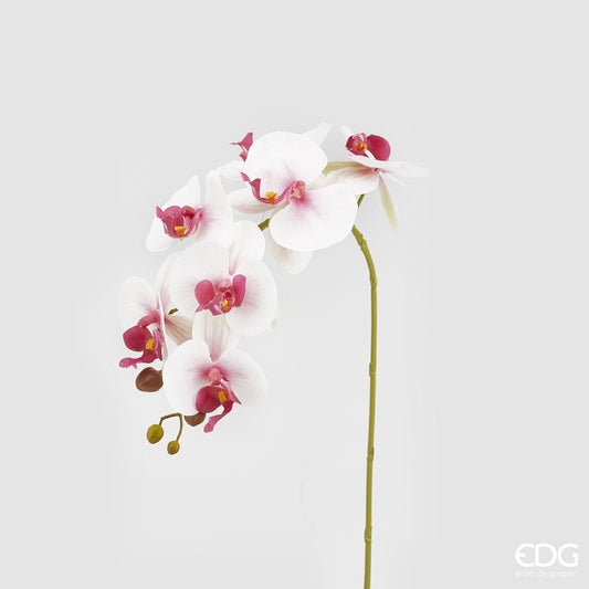 Ramo 7 Orchidee Real ornamentali artificiali. Dimensioni: cm 71 Petali in lattice, stelo in plastica. In negozio e online su tuttochic.live