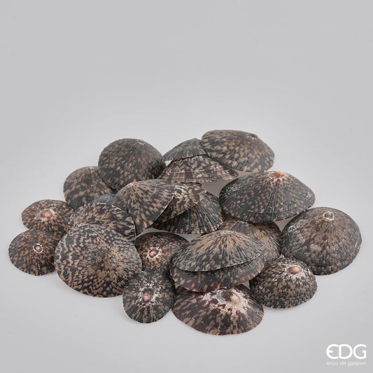 Conchiglie Patella in busta da 500 grammi. Dimensioni assortite dai 3 ai 7 cm. Prodotto naturale e lavato, solo uso decorativo, non è un giocattolo. Tenere fuori dalla portata dei bambini. In negozio e online su tuttochic.live