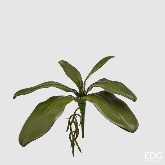 Foglie di Orchidea con radice ornamentale artificiale. Ideali per arricchire composizioni varie. Dimensioni: altezza cm 27. In negozio e online su tuttochic.live