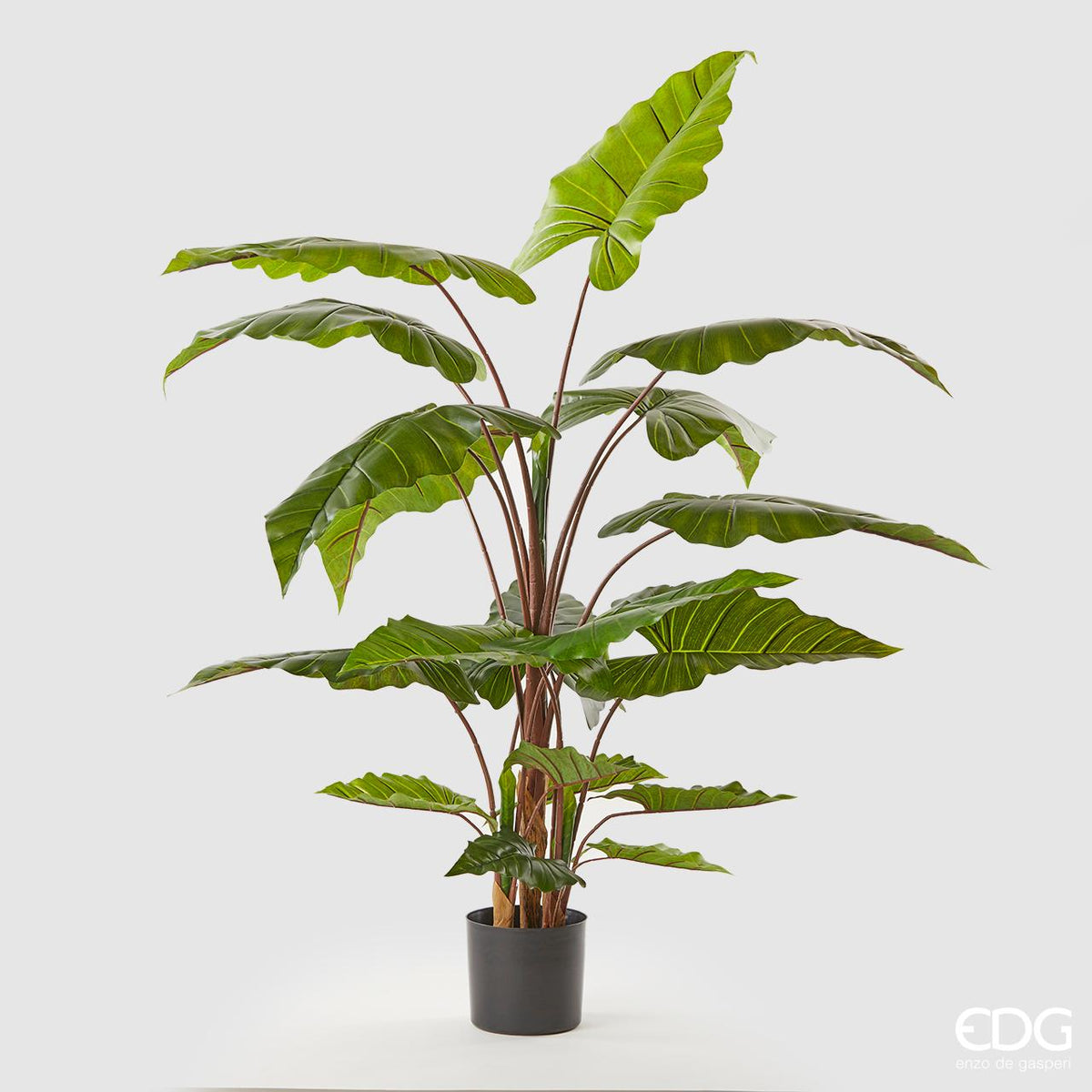 Pianta di Alocasia artificiale alta 170 cm con 20 ampie foglie verdi e vaso in PVC nero di EDG Enzo De Gasperi.