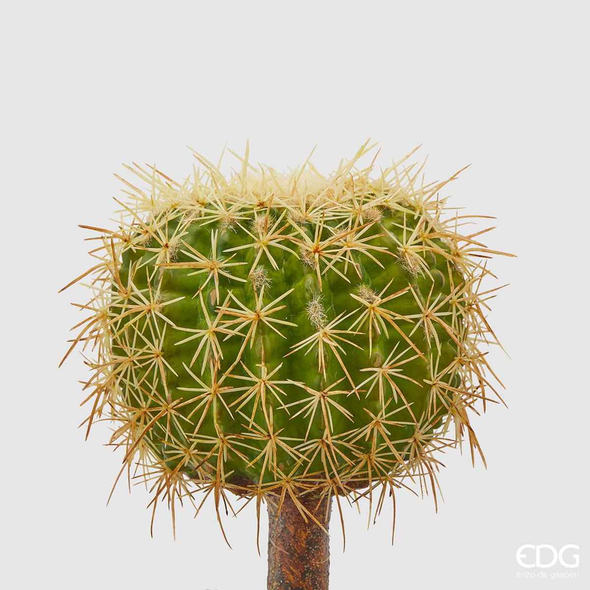 Pianta grassa artificiale di Echinocactus, detta anche "Cuscino della suocera". Dimensioni: cm Ø 16 x 14 h Materiale: plastica. In negozio e online su tuttochic.live