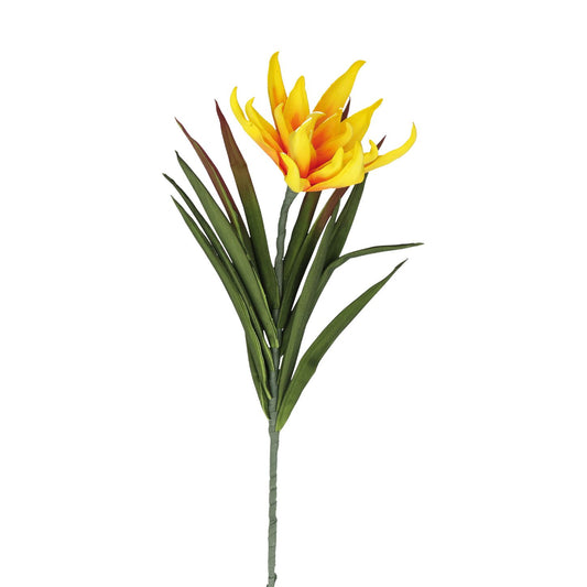 Succulenta Fiorita Gialla