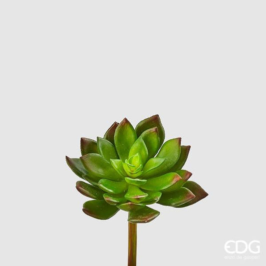 Pianta artificiale di Succulent Pick in plastica decorata. Dimensioni: cm 10 x 14 h. Uso decorativo, tenere fuori la portata dei bambini. In negozio e online su tuttochic.live