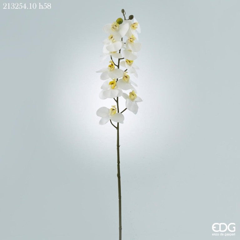 Orchidea Real bianca artificiale cm. 58, ideali per abbellire ogni ambiente. In negozio e online su tuttochic.live