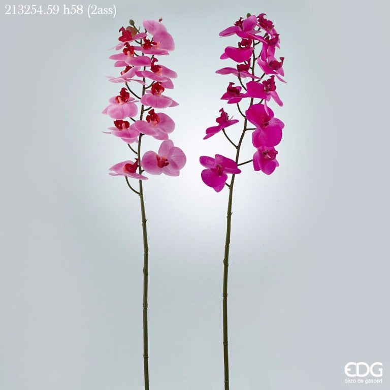 Orchidea Real artificiale cm. 58 sfumata in due colori, rosa e fuxia, ideali per abbellire qualsiasi ambiente. Petali in lattice, ramo in plastica. In negozio e online su tuttochic.live